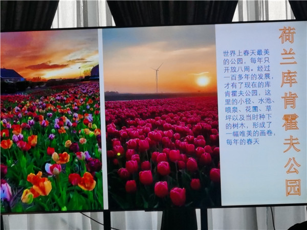 四(sì)川中青旅绵(mián)阳分社独家定制圆梦(mèng)欧洲系列(liè) - 大全景 9 国 16 天 德国(guó)-法国-瑞士-意大利-奥地利-荷兰-比(bǐ)利时-列支敦士登-卢森堡
